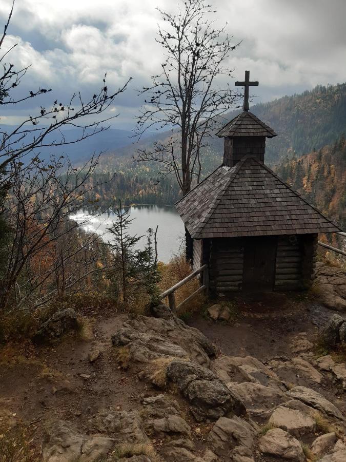 Anno - Wohlfuehlen Am Bachal In Altschoenau Neuschönau المظهر الخارجي الصورة