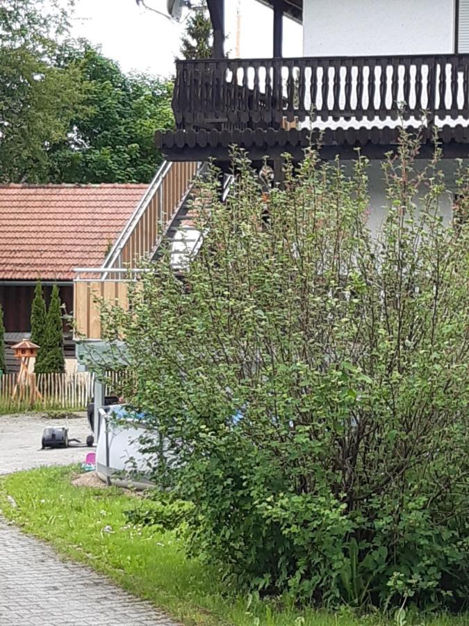 Anno - Wohlfuehlen Am Bachal In Altschoenau Neuschönau المظهر الخارجي الصورة