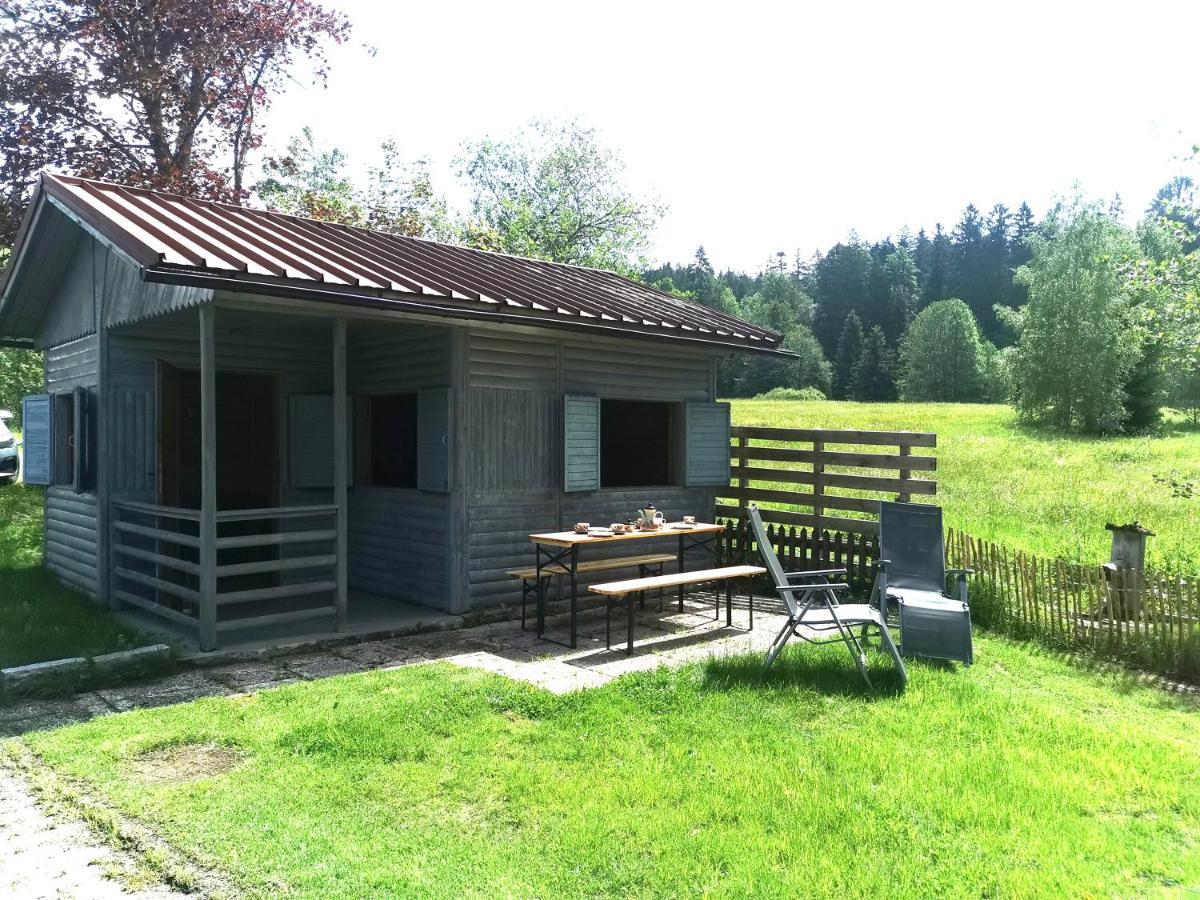 Anno - Wohlfuehlen Am Bachal In Altschoenau Neuschönau المظهر الخارجي الصورة