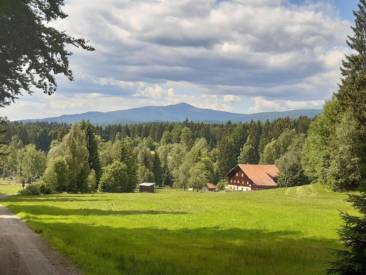Anno - Wohlfuehlen Am Bachal In Altschoenau Neuschönau المظهر الخارجي الصورة
